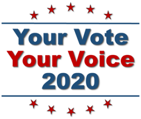 yourvote-yourvoice-2020-d.png